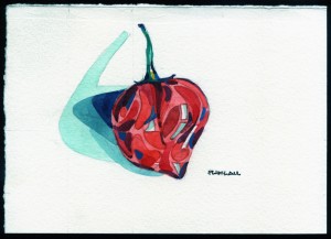 Pepper #12 Pepper #12