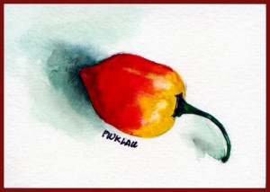 Pepper #5 Pepper #5