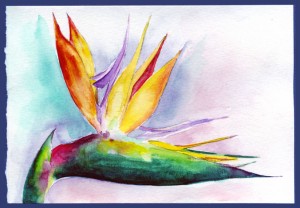 Heliconia watercolor painting