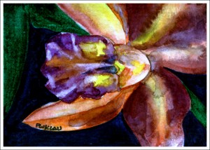 Flower Watercolor Painting