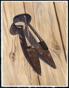 Watercolor painting - Hand forged garden sheep shears 7.5 x 10 inches