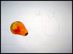 Watercolor Painting - Three Pears 15 x 20 inches 