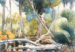 Wnslow Homer watercolor at Homosassa Springs Wildlife State Park