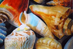 Sea Shell ink and watercolor 15 x 22 inches